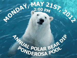 polar dip